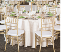 120” Round Dupioni Linen