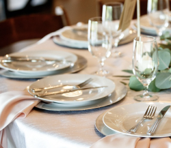 Napkin Dupioni Linen